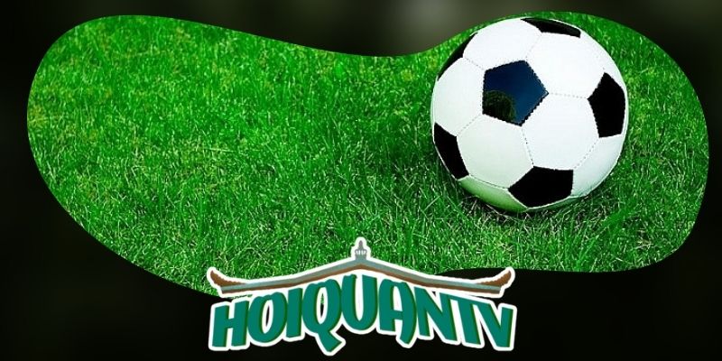 Giới thiệu tổng quan về Hoiquantv